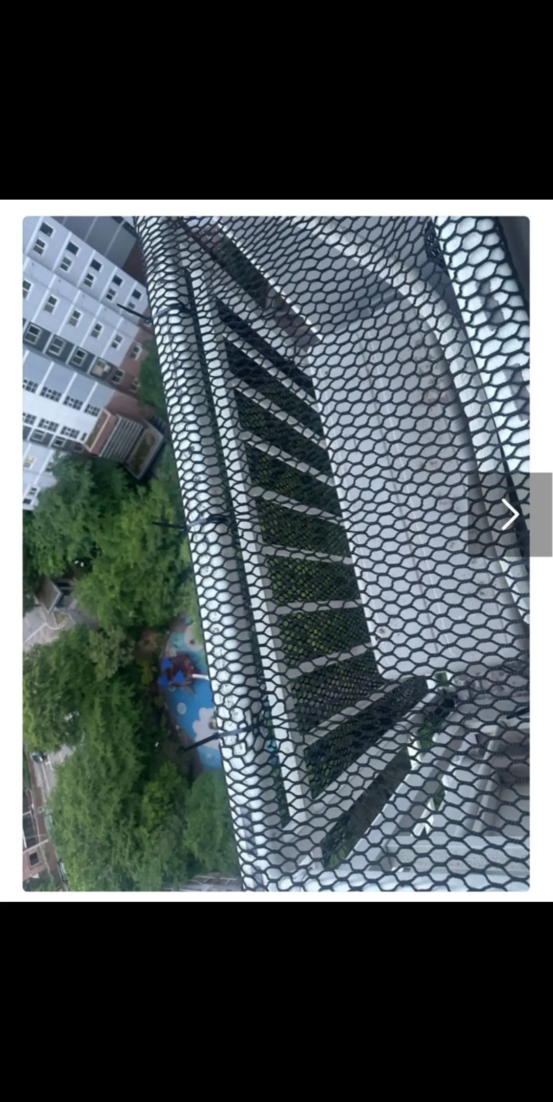 이미지 8