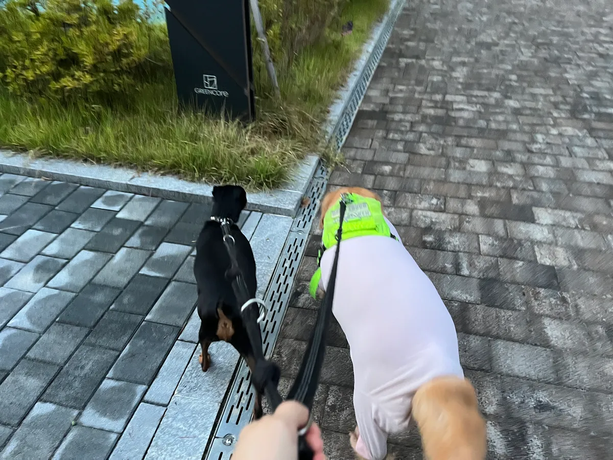 이미지 10