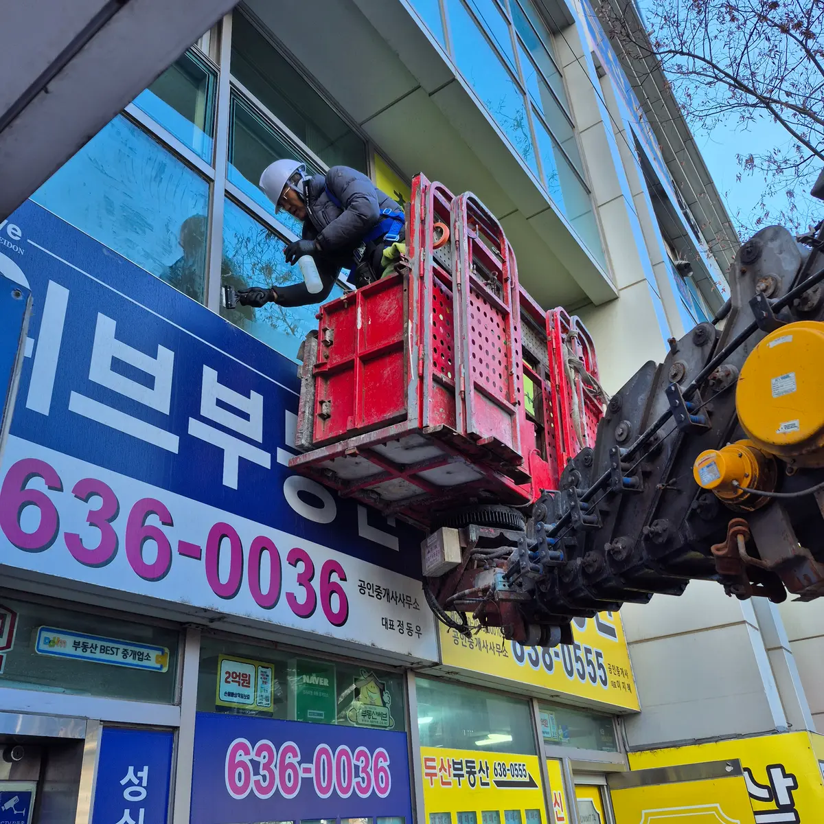 이미지 10