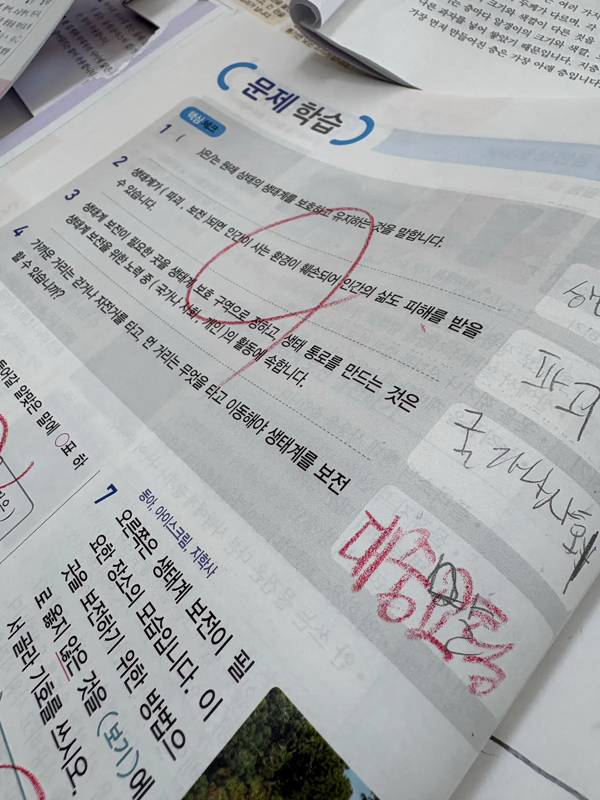이미지 7