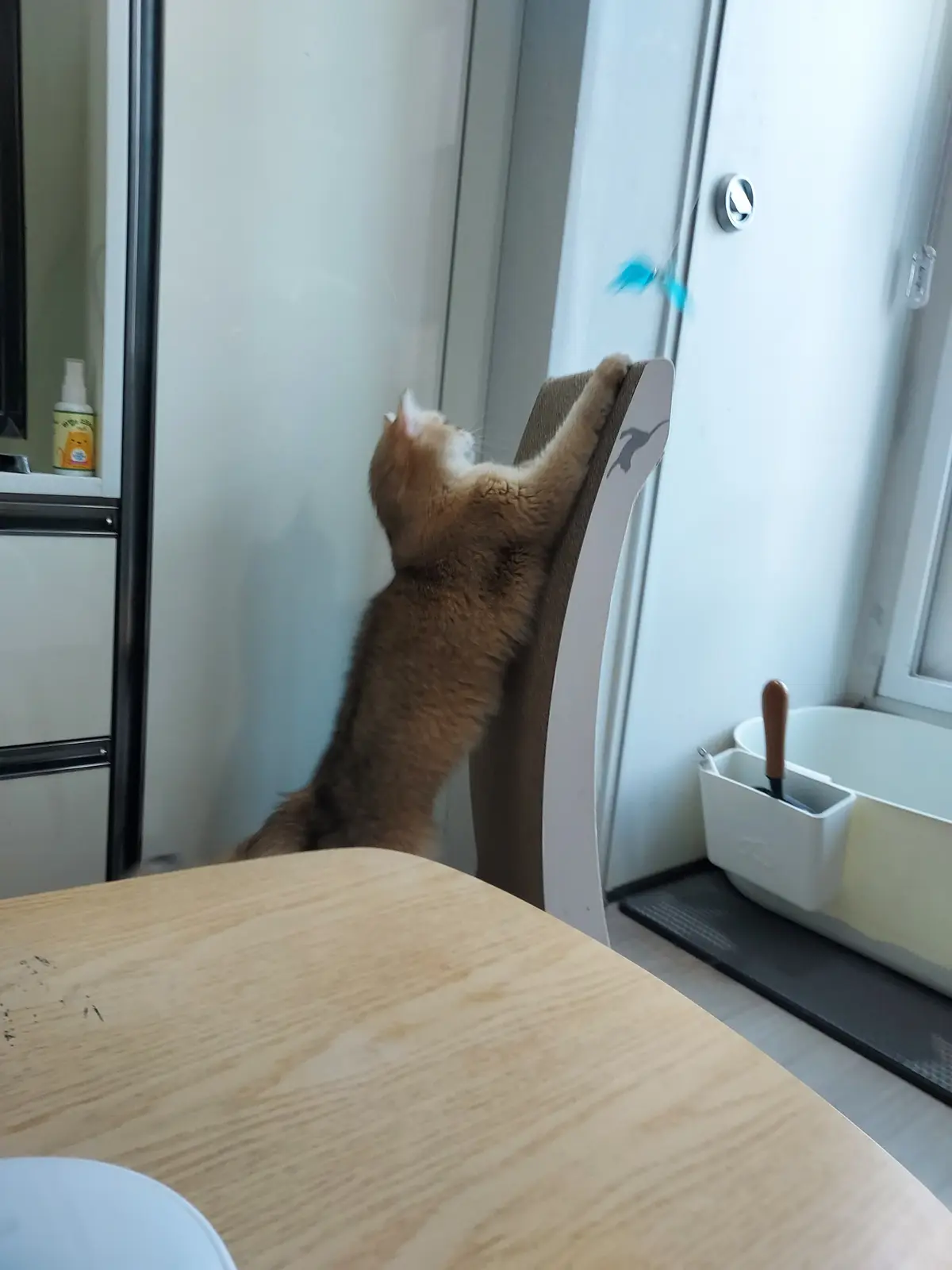 이미지 11