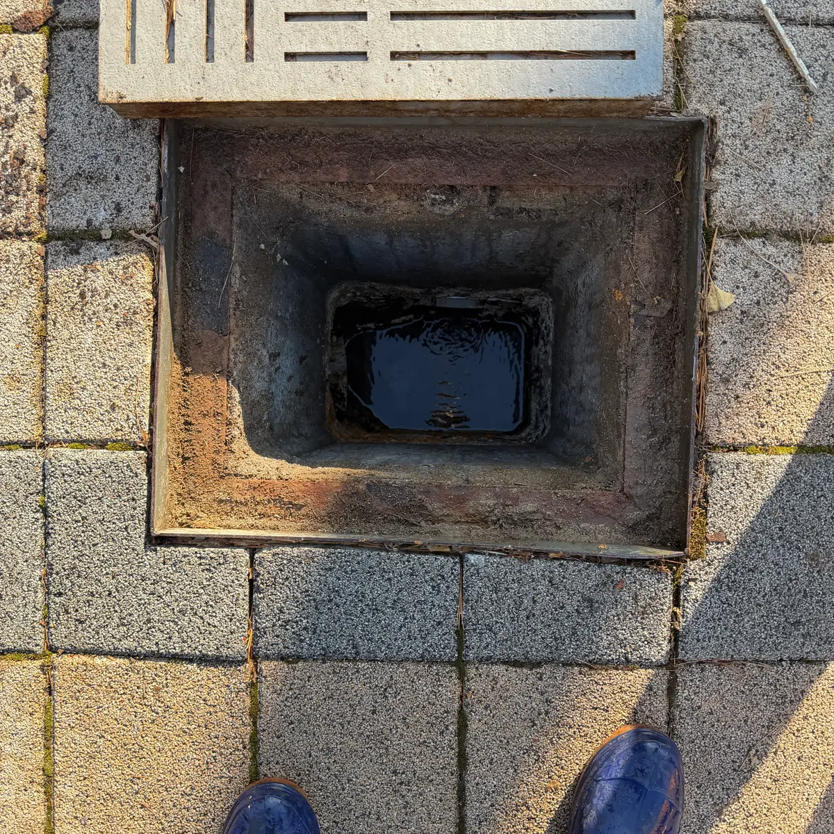 이미지 12
