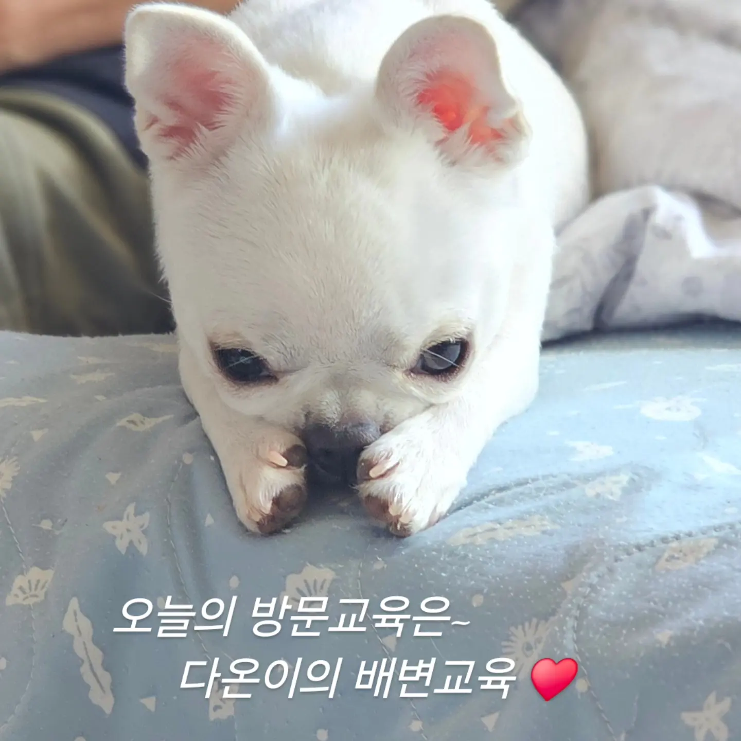 이미지 5