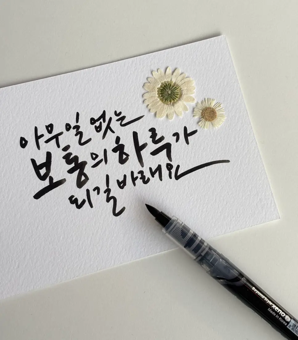 이미지 8