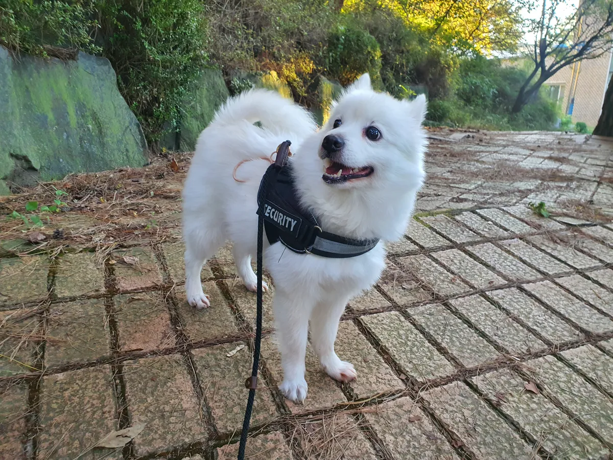 이미지 8