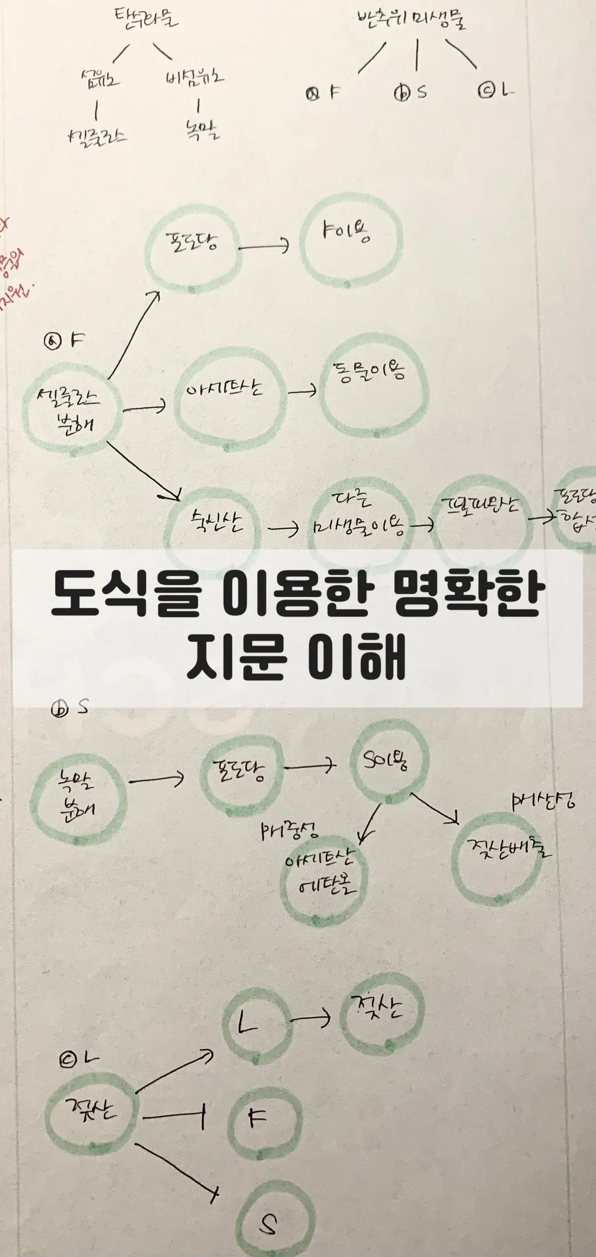 이미지 4