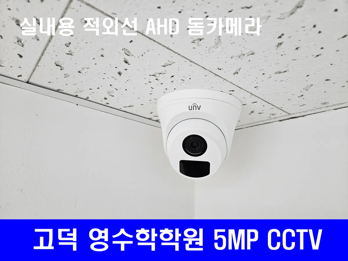 이미지 11