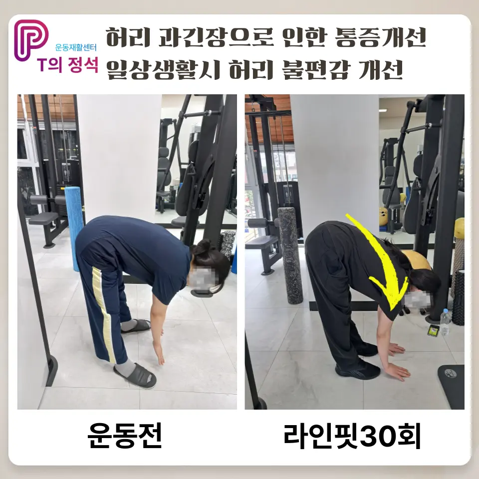 이미지 8