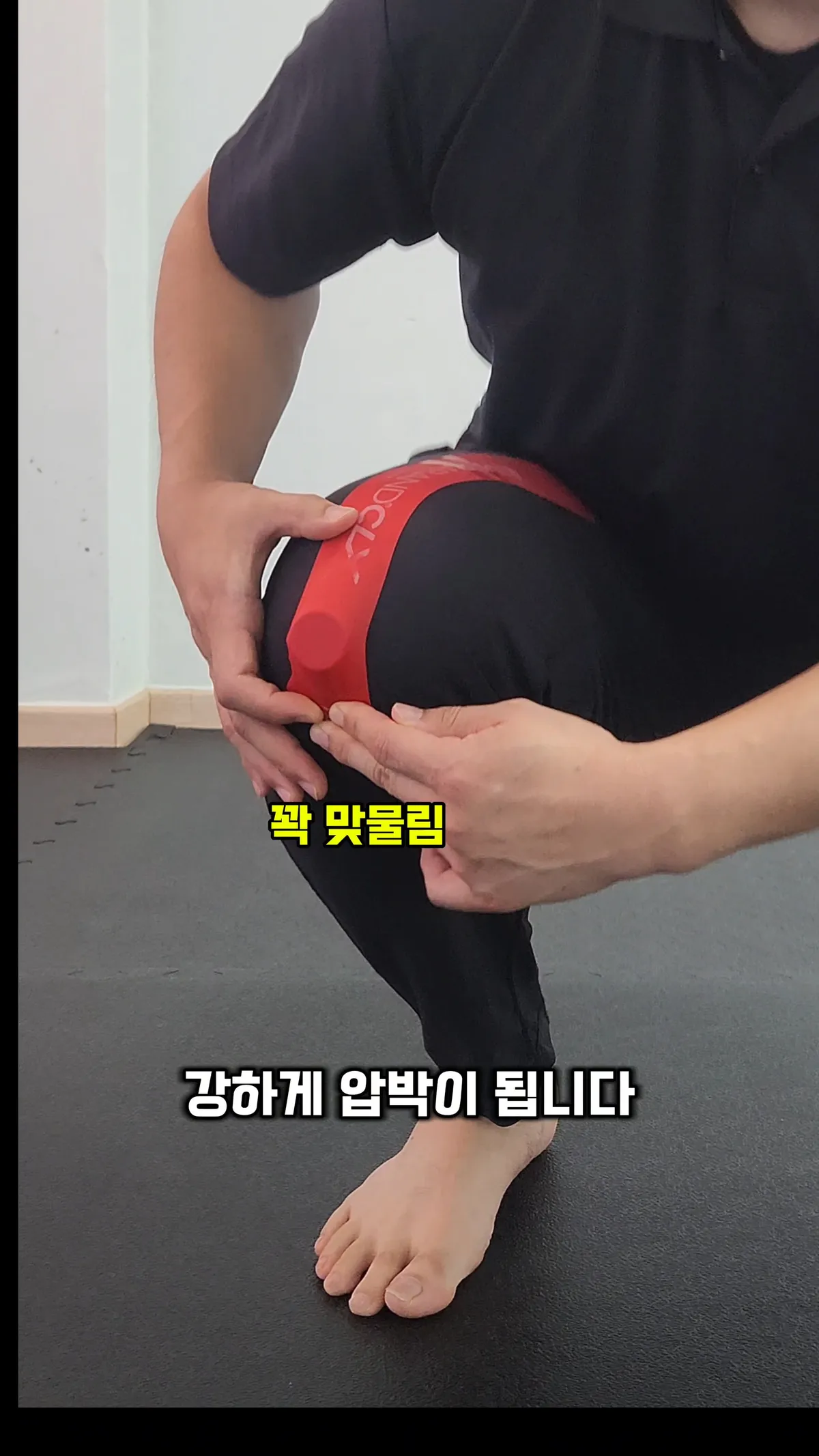 이미지 6