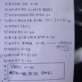 고양이 2마리 돌봄