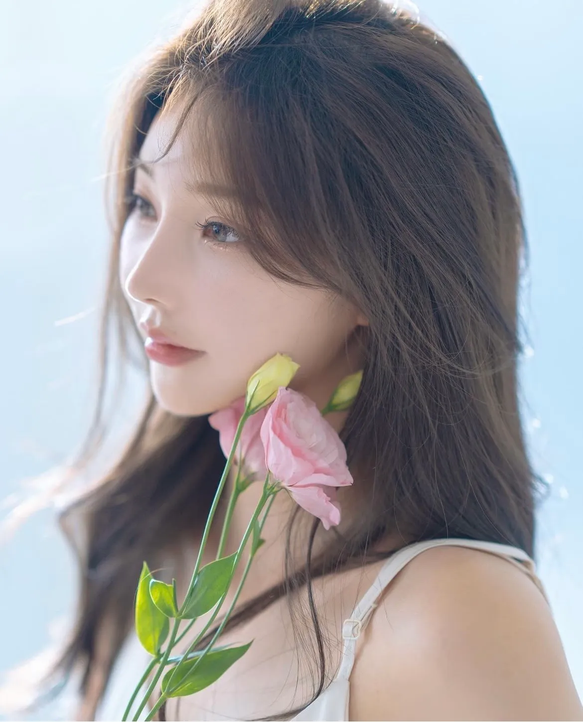 이미지 5
