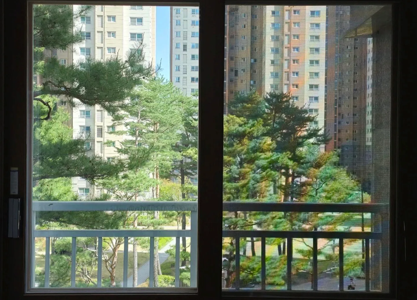 이미지 5
