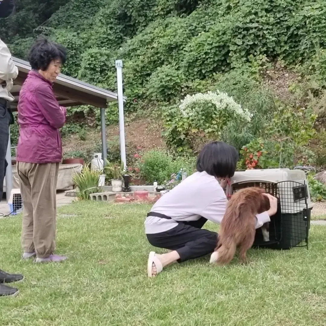 이미지 3
