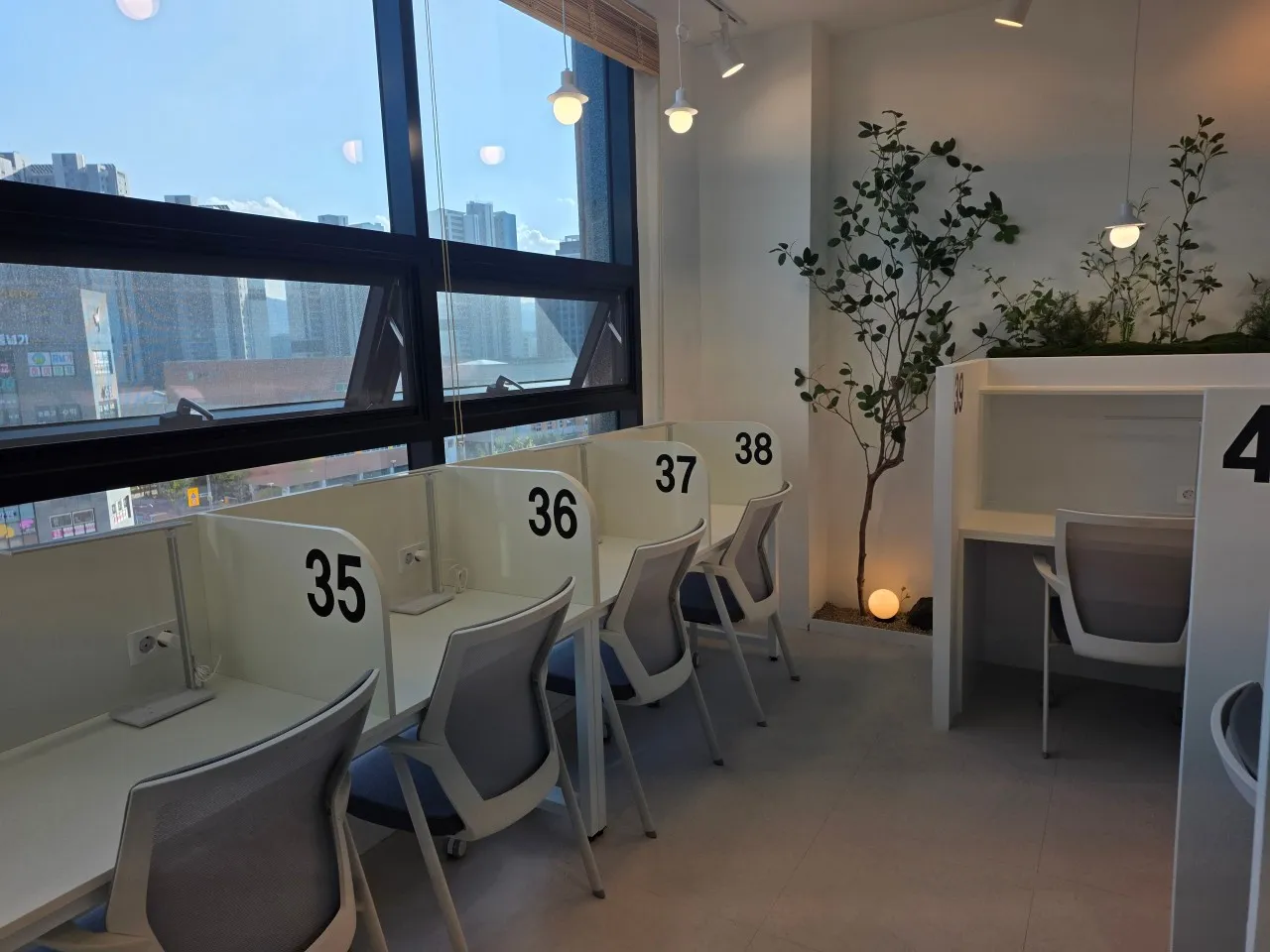 이미지 14