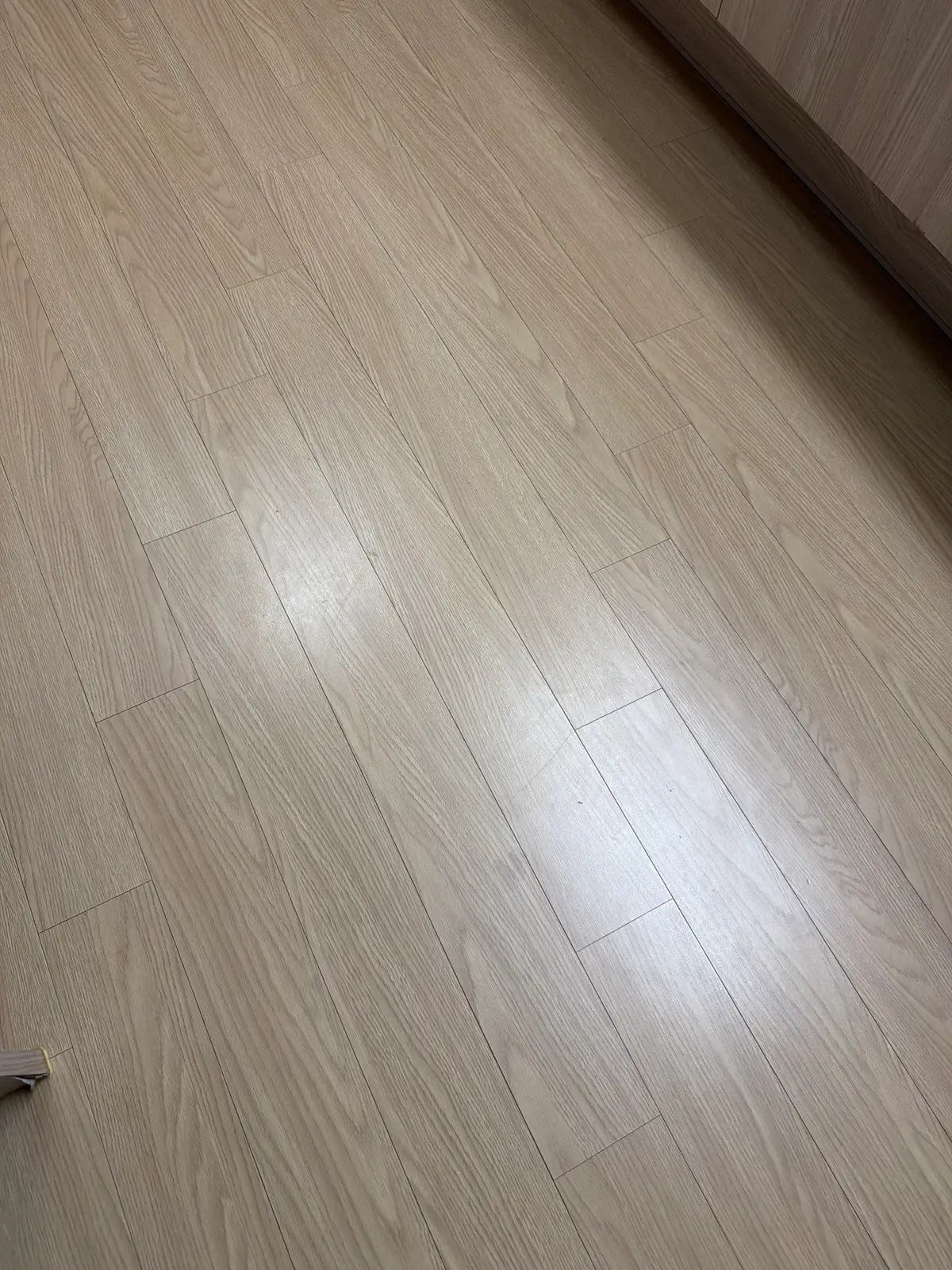 이미지 8