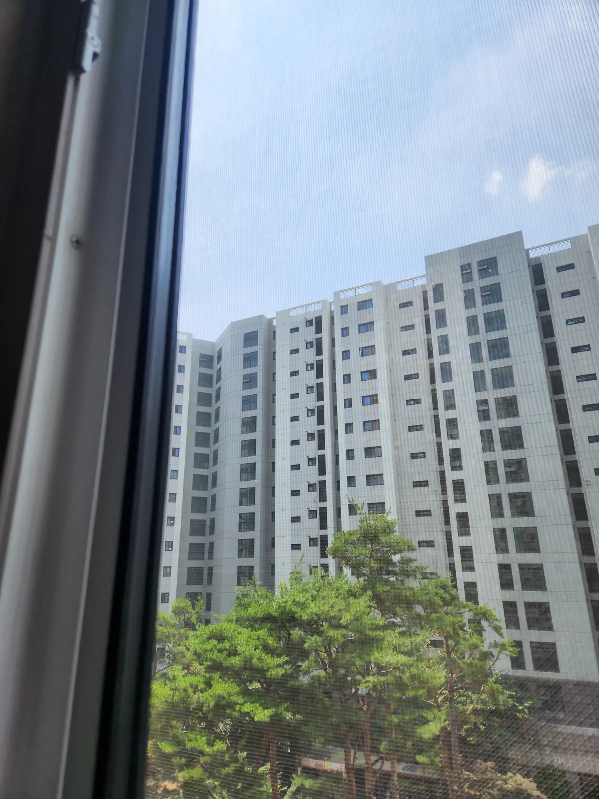 이미지 10
