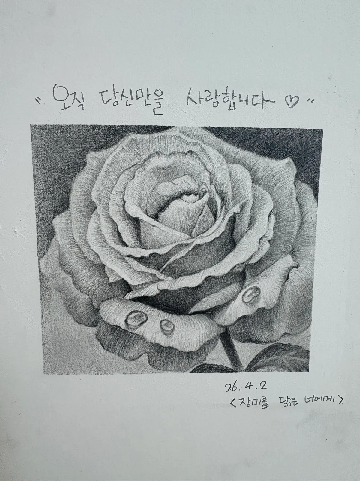이미지 6