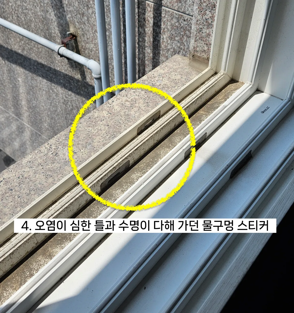 이미지 8
