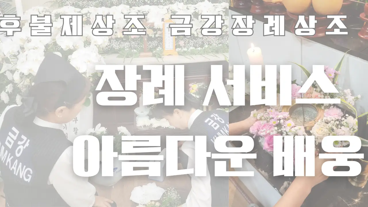 이미지 10