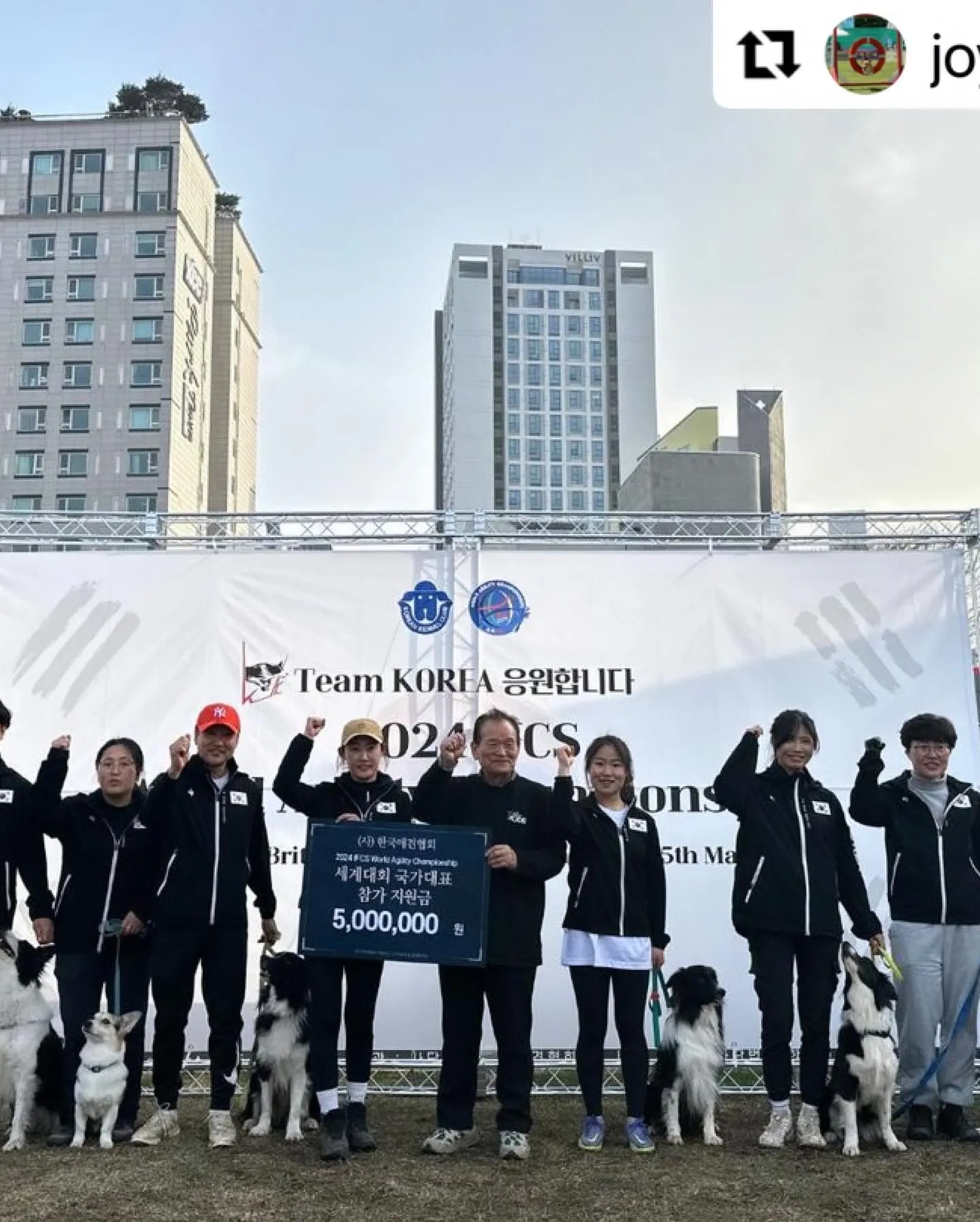이미지 6