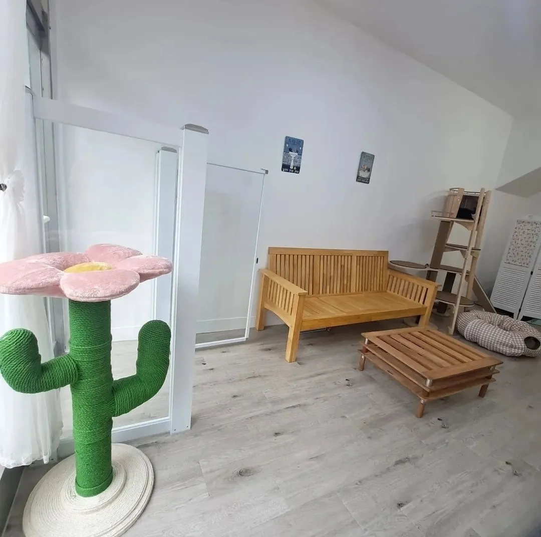 이미지 5