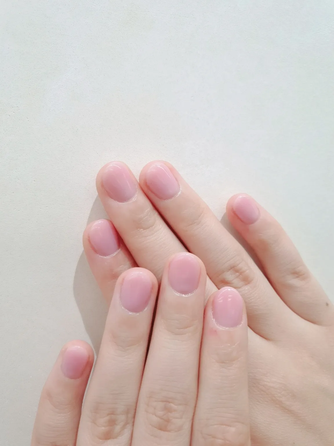 이미지 5