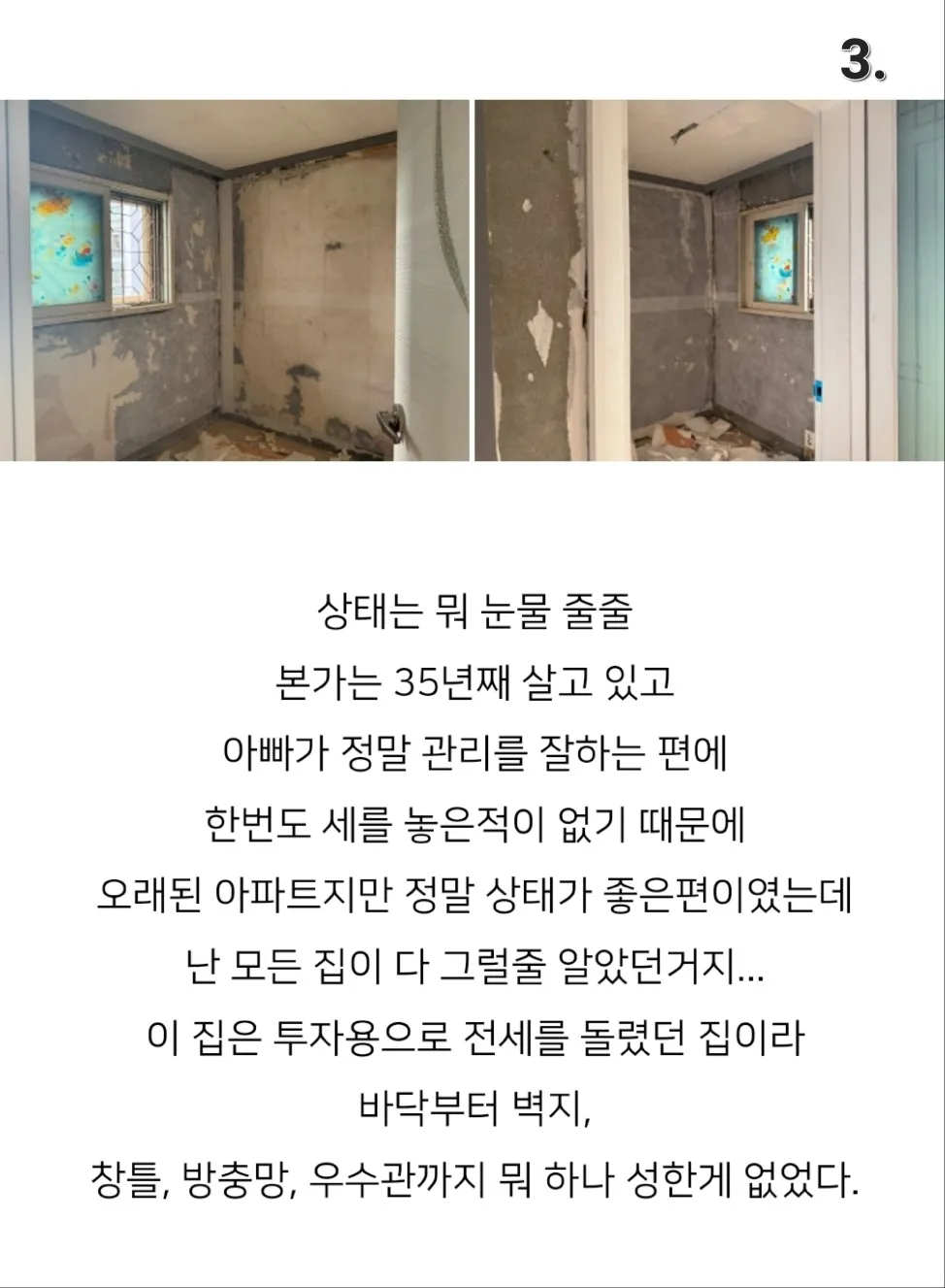이미지 5