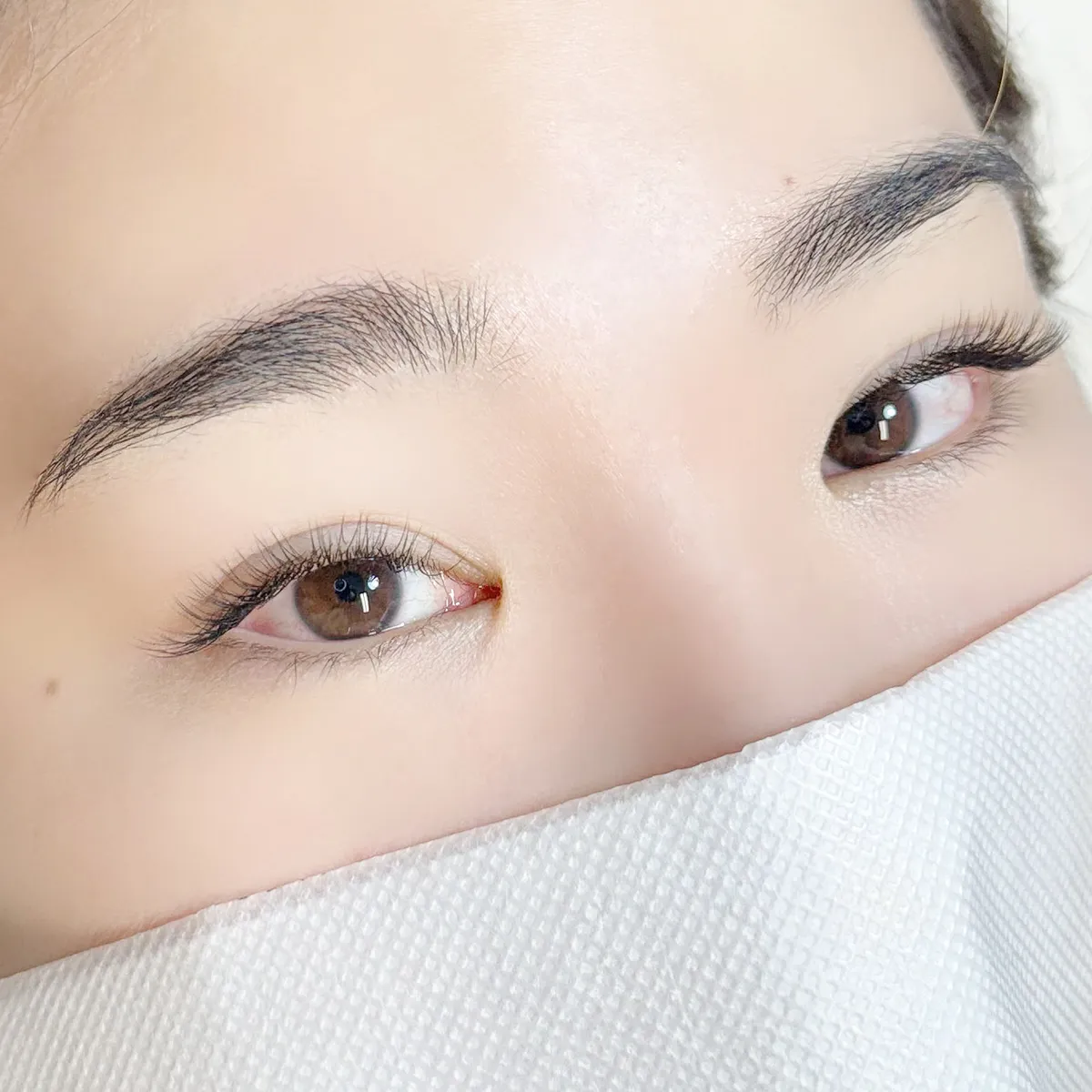 이미지 4