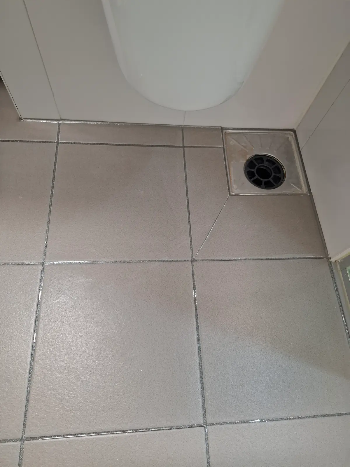 이미지 6