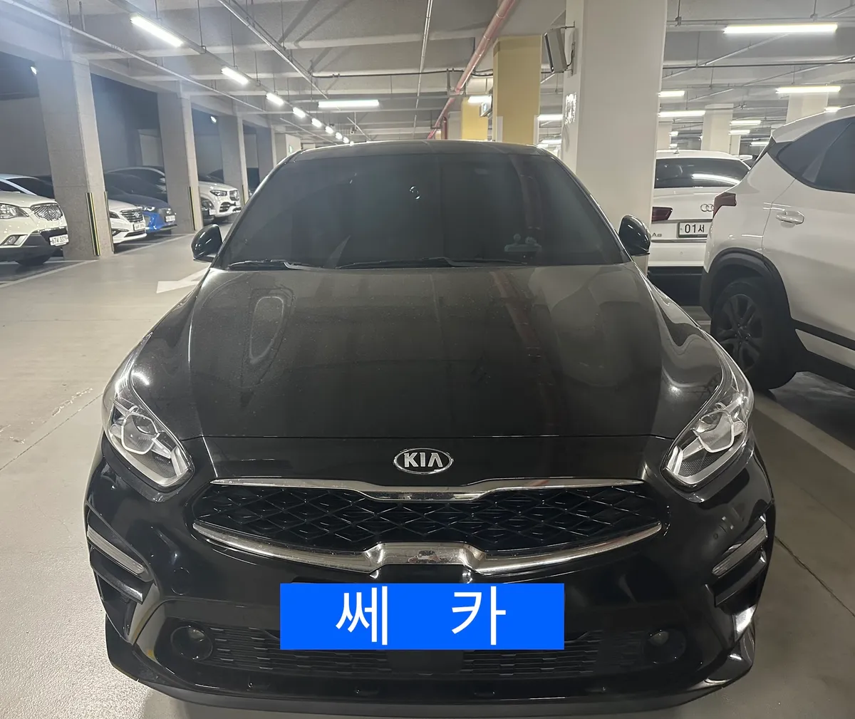 이미지 8