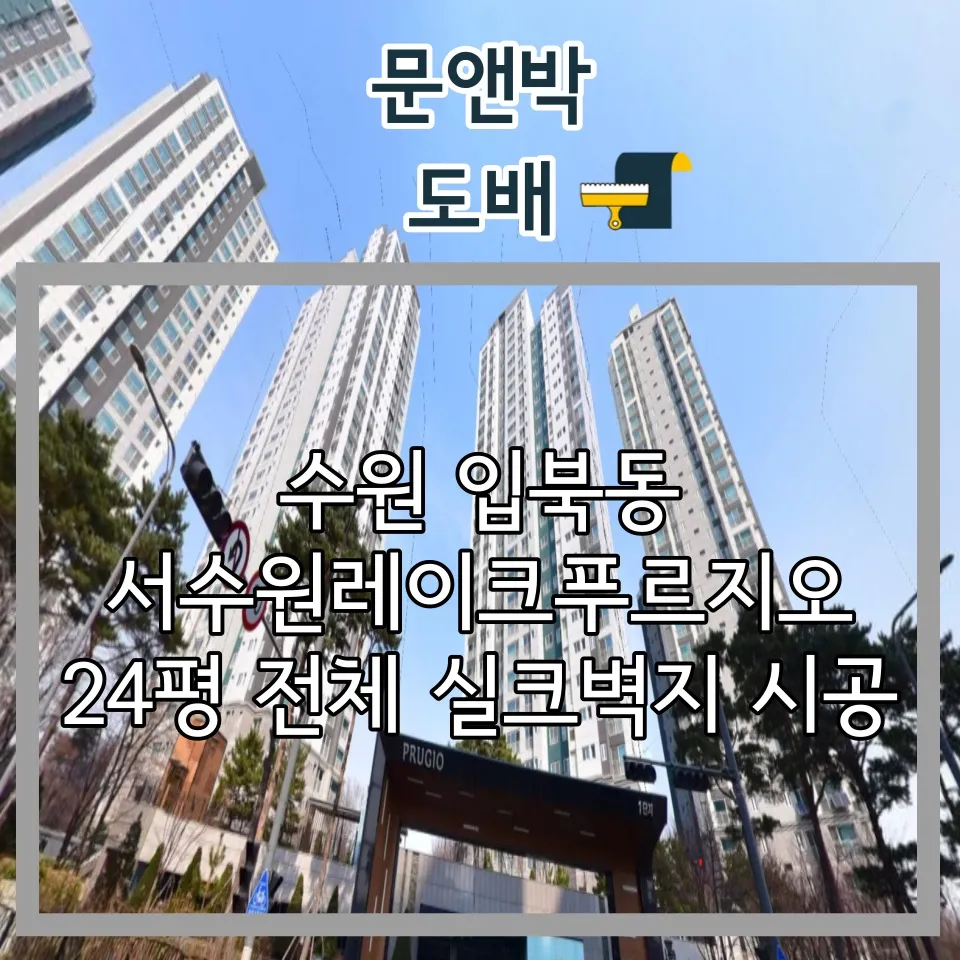 포트폴리오 대표 이미지