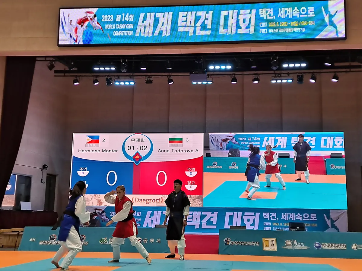 이미지 11
