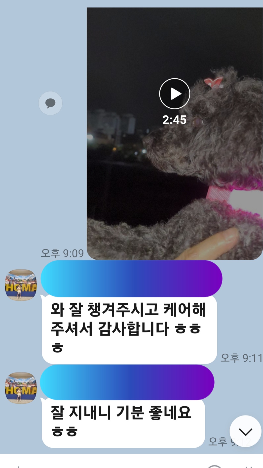 이미지 10