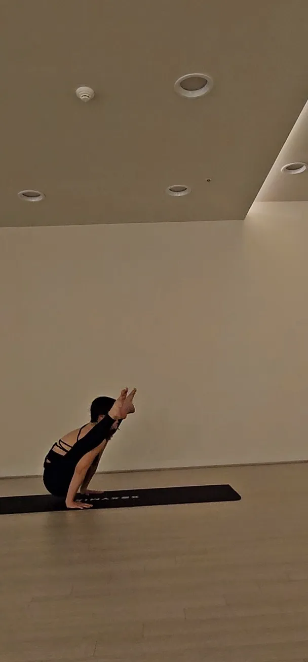 이미지 8