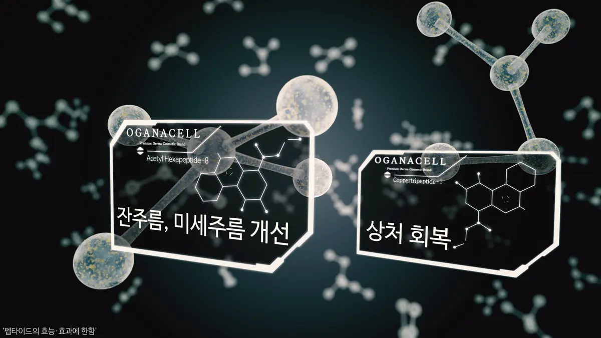 이미지 5