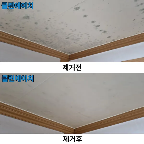 이미지 5