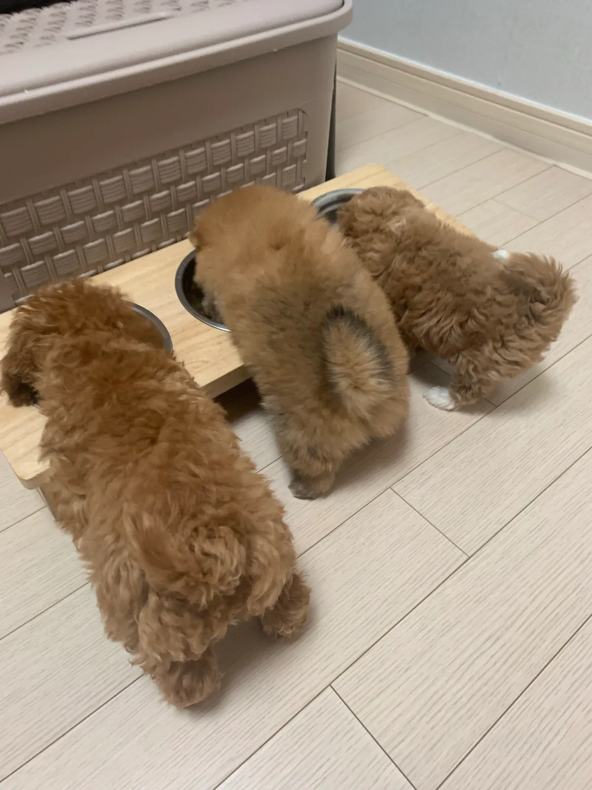 이미지 7