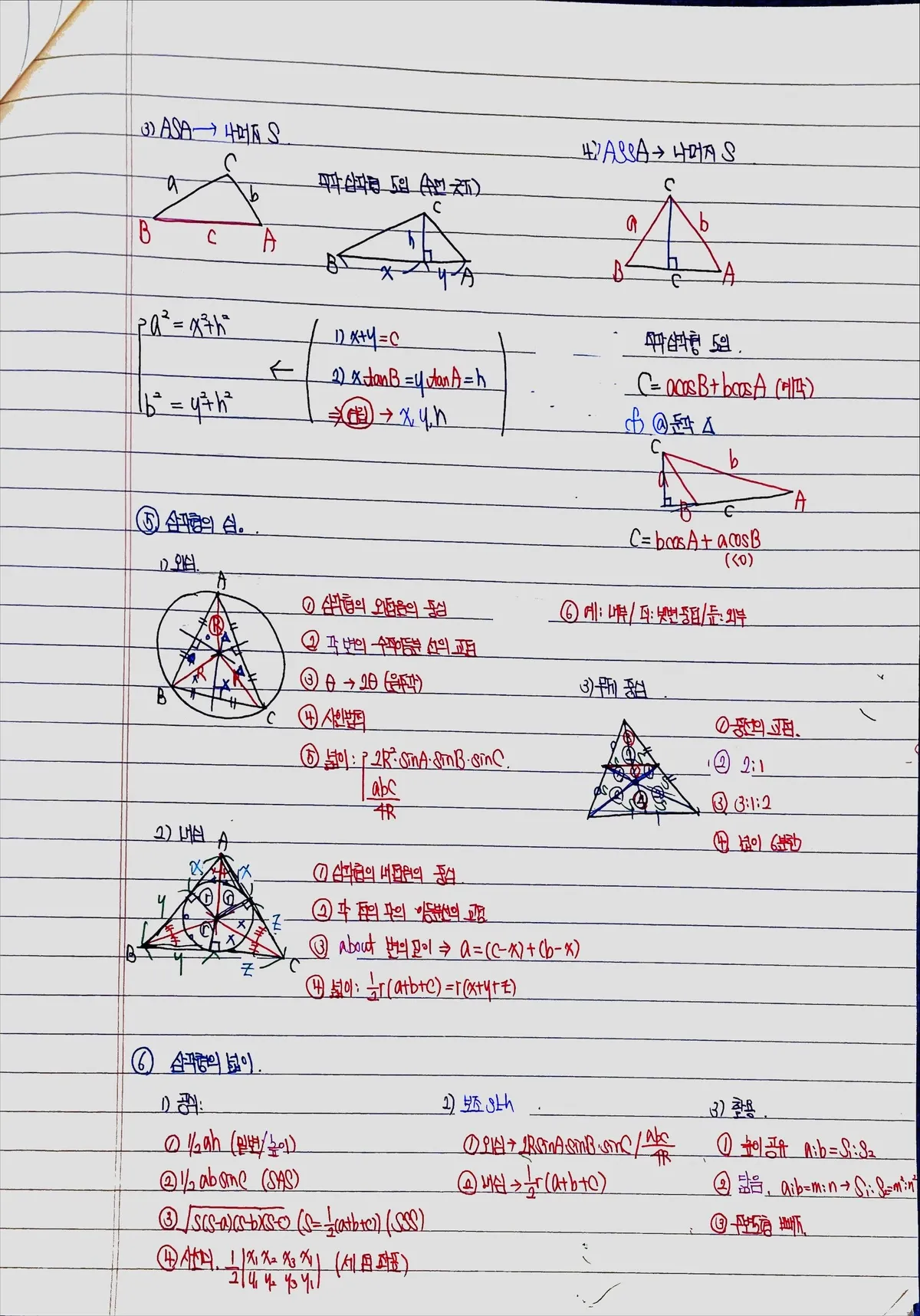 이미지 7