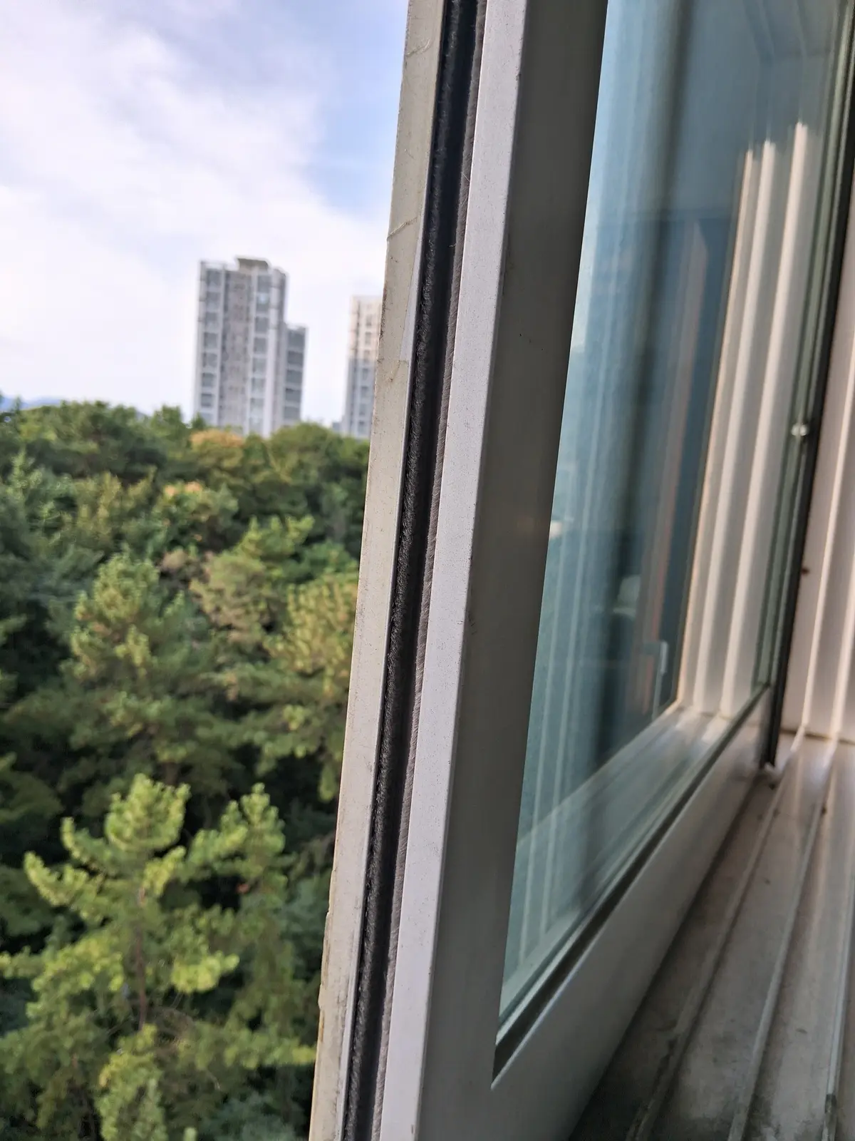 이미지 3