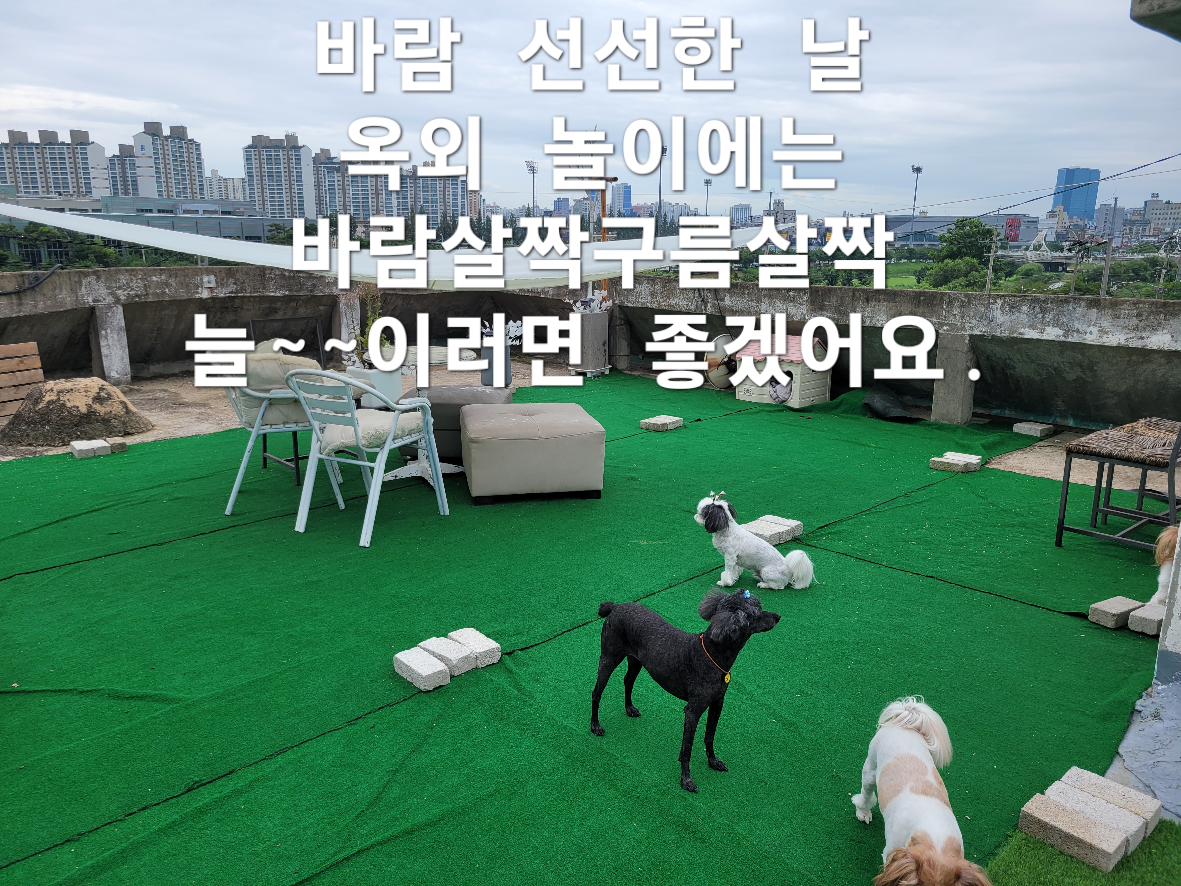 이미지 9