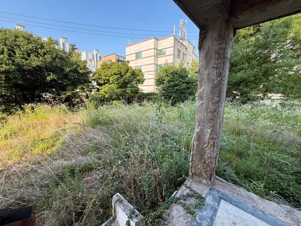 이미지 6
