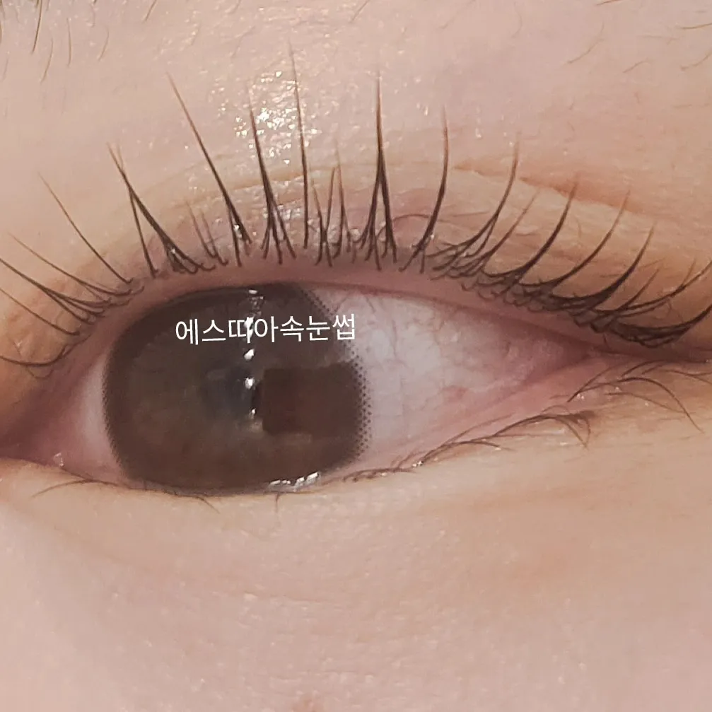 이미지 7
