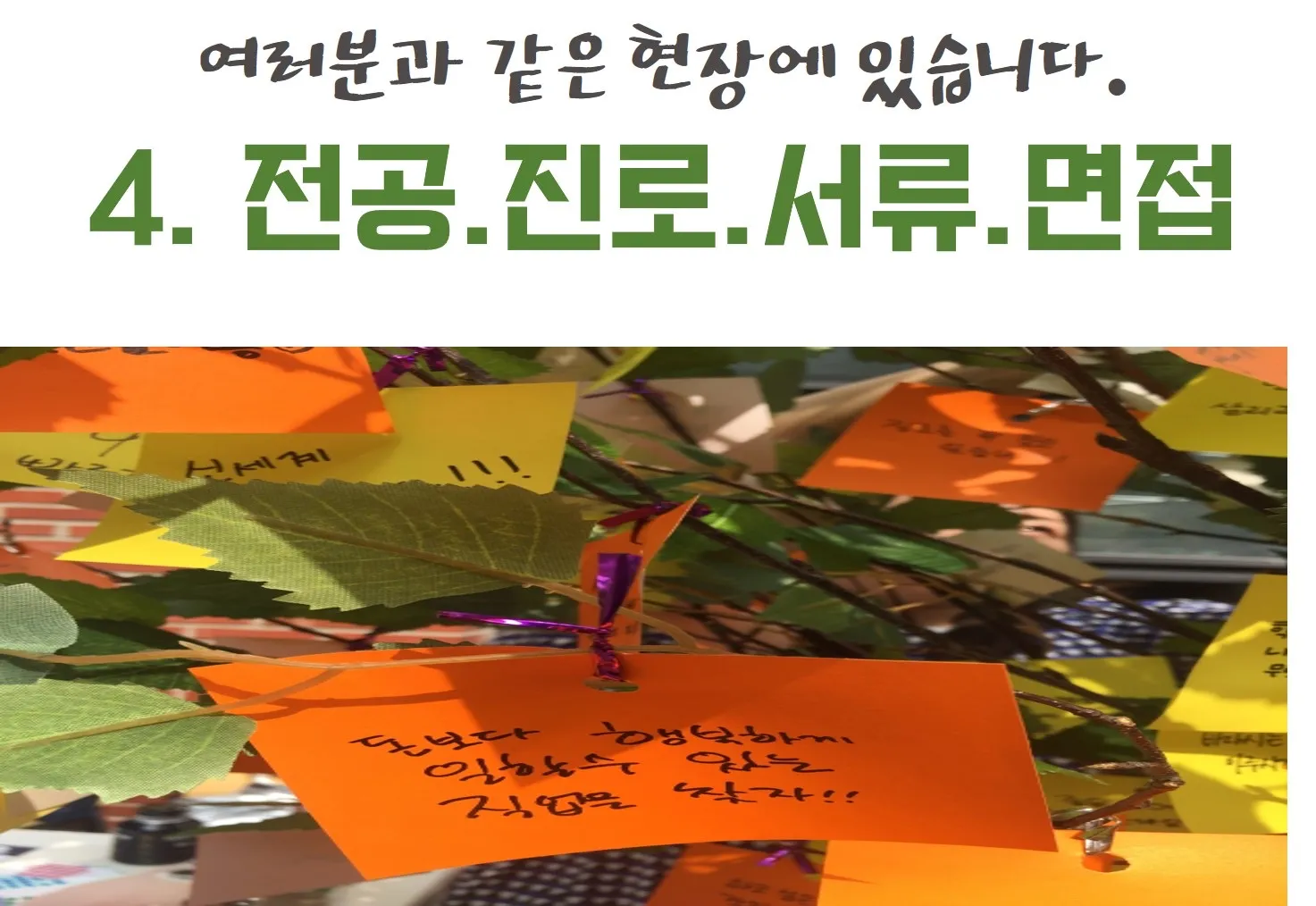 이미지 5