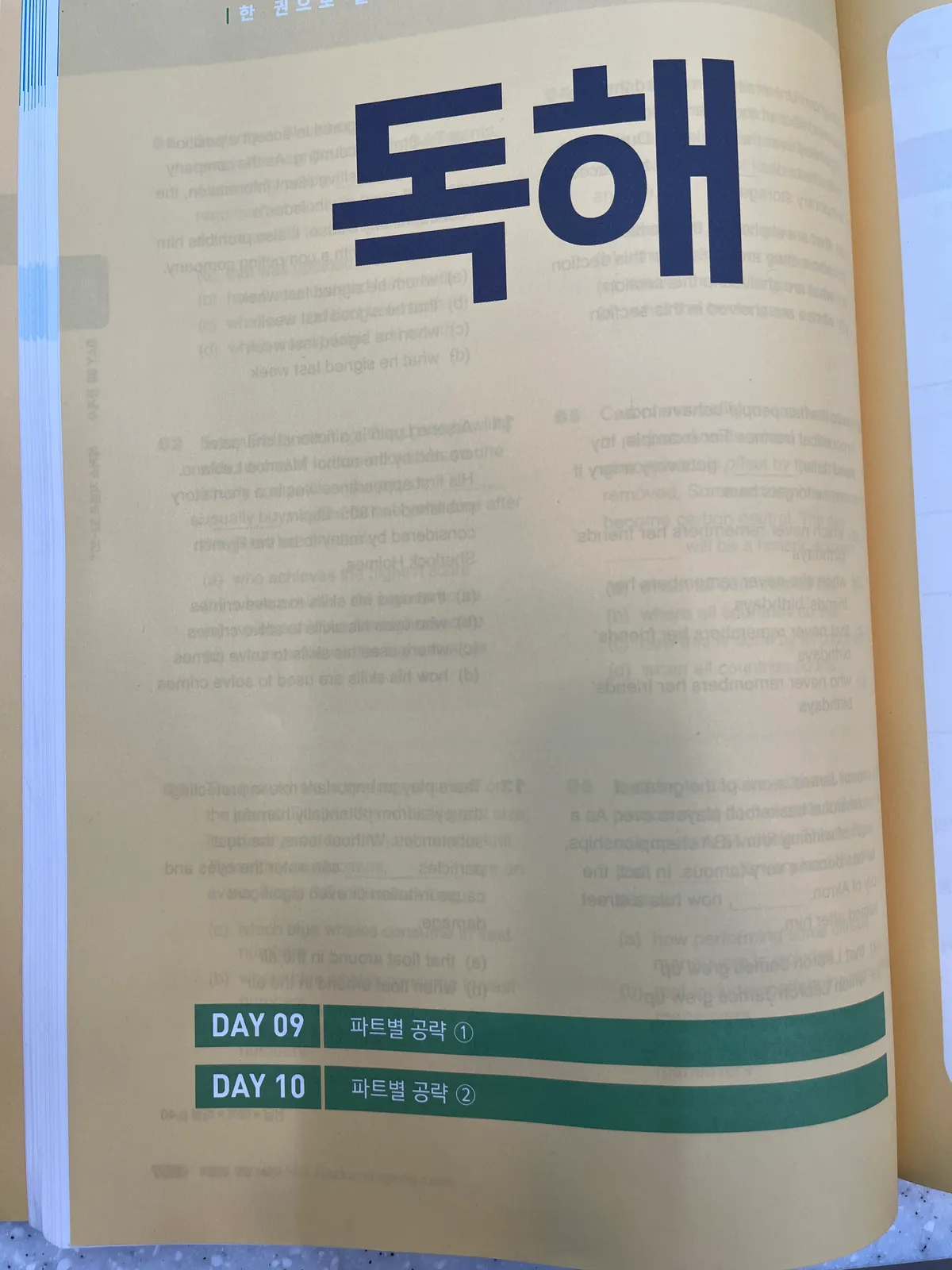 이미지 11