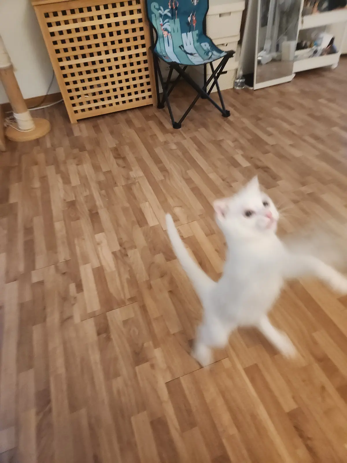 이미지 6