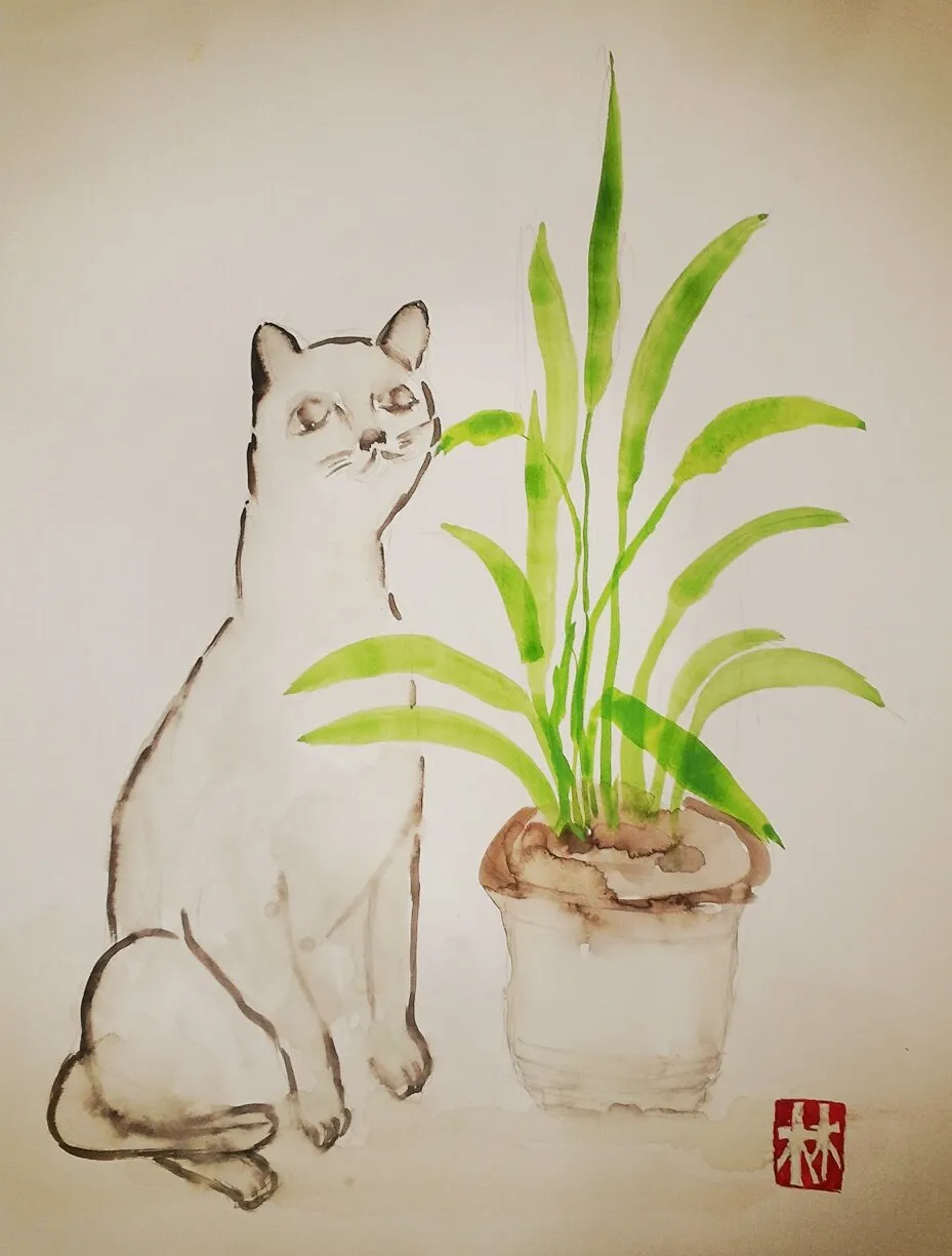 이미지 6