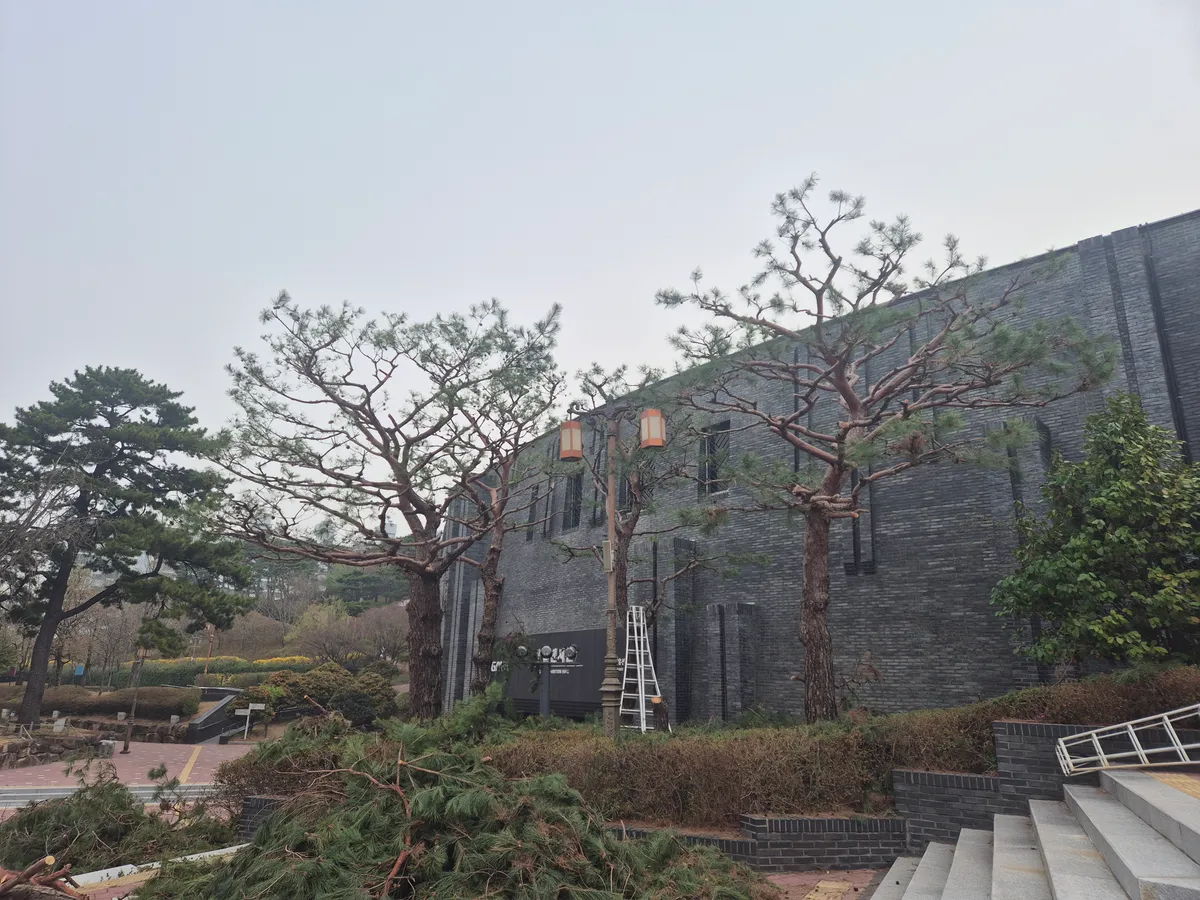 이미지 10