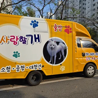  전주애견미용(차량)