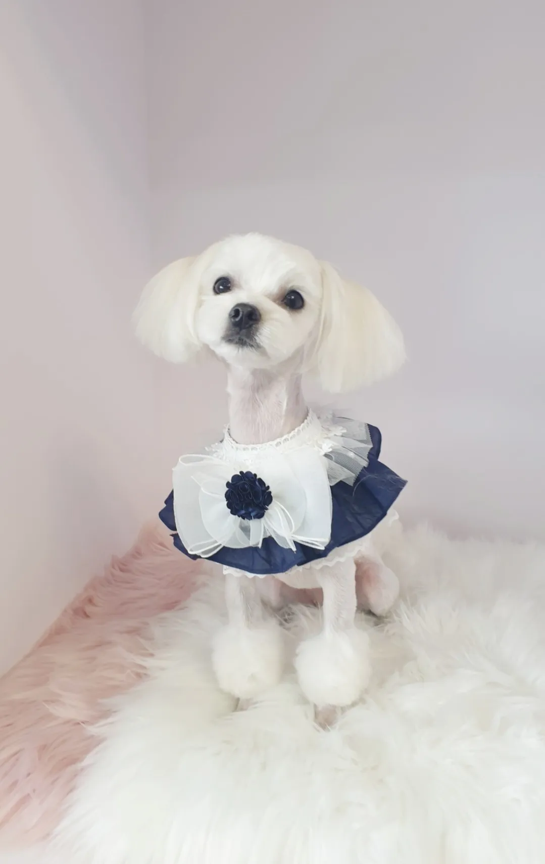 이미지 3