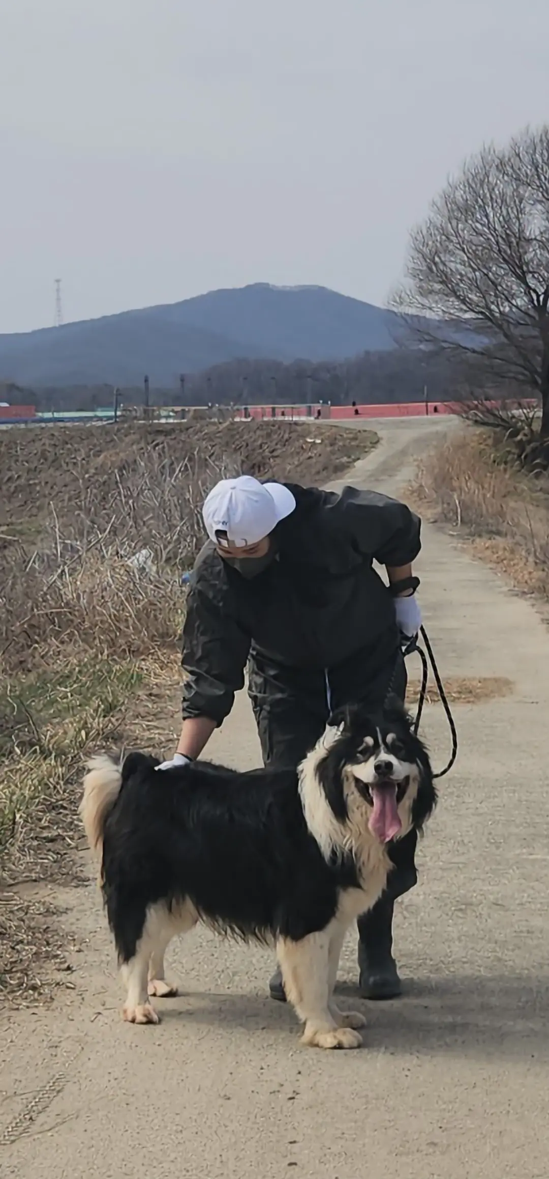이미지 2